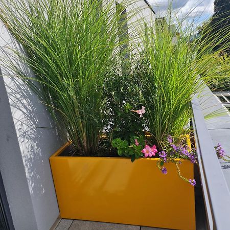 Apartamento Attic Pour 4 Personnes Munster  Exterior foto